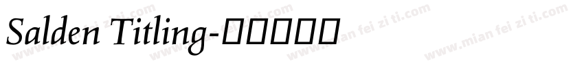 Salden Titling字体转换